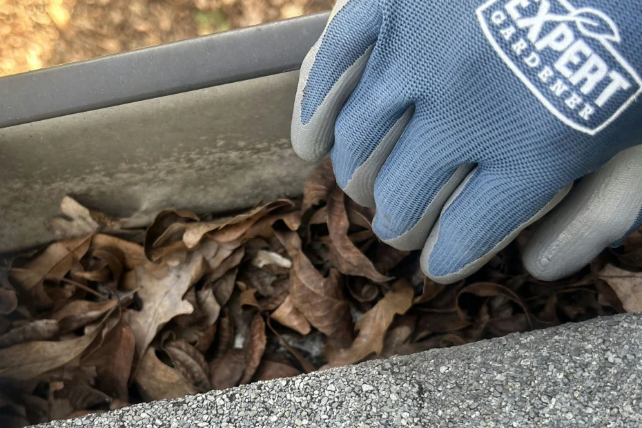 Gutter Cleaning Oak Brook