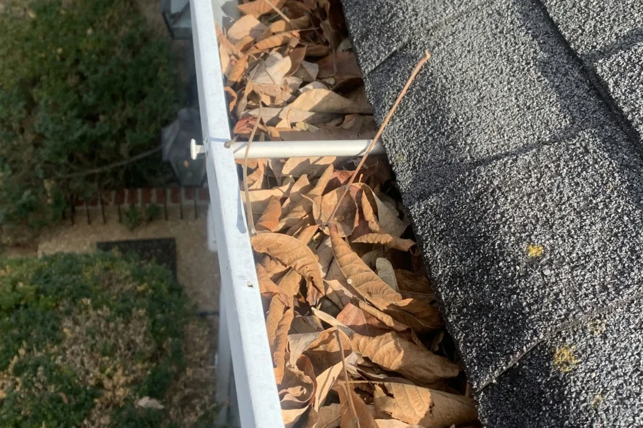 Gutter Cleaning Oak Brook