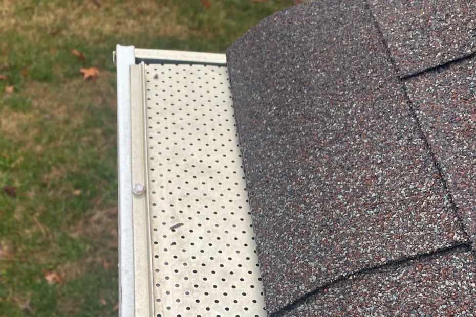 Gutter Cleaning Oak Brook